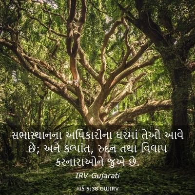 Picture 03 - માર્ક 5:38 GUJIRV - સભાસ્થાનના - Bible Verse Picture