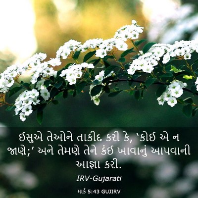 Picture 03 - માર્ક 5:43 GUJIRV - ઈસુએ તેઓને તાકીદ - Bible Verse Picture