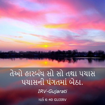 Picture 03 - માર્ક 6:40 GUJIRV - તેઓ હારબંધ સો સો - Bible Verse Picture