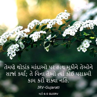 Picture 03 - માર્ક 6:5 GUJIRV - તેમણે થોડાંક - Bible Verse Picture