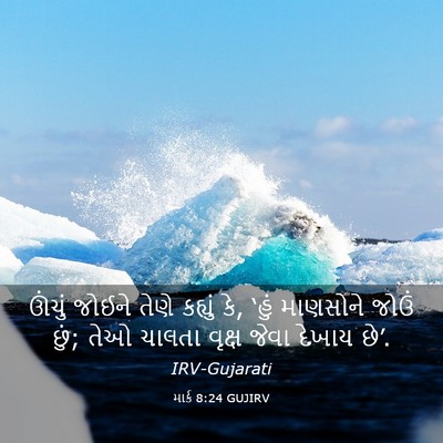 Picture 03 - માર્ક 8:24 GUJIRV - ઊંચું જોઈને તેણે - Bible Verse Picture