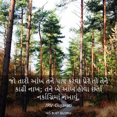 Picture 03 - માર્ક 9:47 GUJIRV - જો તારી આંખ તને પાપ - Bible Verse Picture