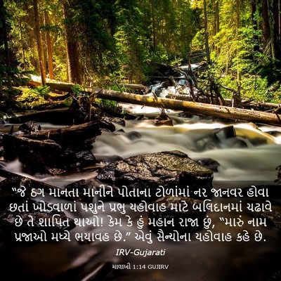 Picture 03 - માલાખી 1:14 GUJIRV - “જે ઠગ માનતા - Bible Verse Picture