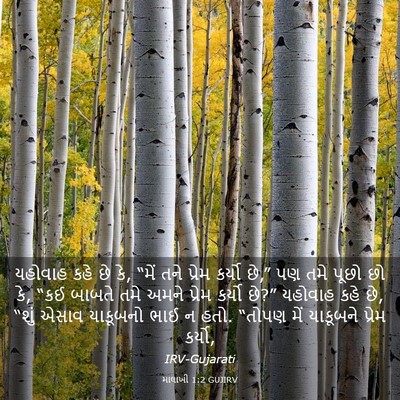 Picture 03 - માલાખી 1:2 GUJIRV - યહોવાહ કહે છે કે, - Bible Verse Picture