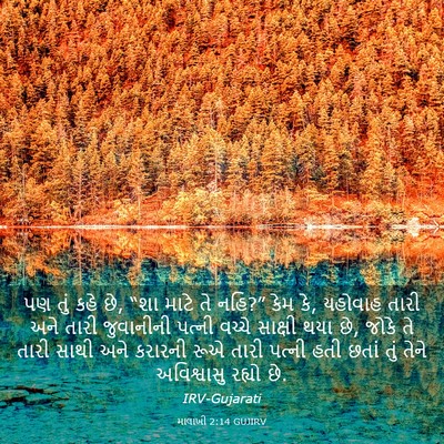 Picture 03 - માલાખી 2:14 GUJIRV - પણ તું કહે છે, “શા - Bible Verse Picture