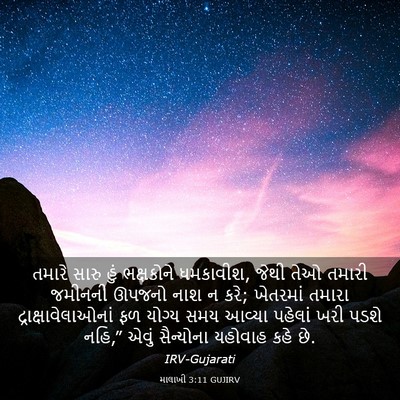 Picture 03 - માલાખી 3:11 GUJIRV - તમારે સારુ હું - Bible Verse Picture