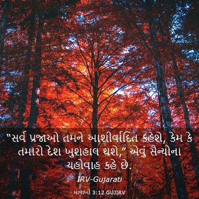 Picture 03 - માલાખી 3:12 GUJIRV - “સર્વ પ્રજાઓ તમને - Bible Verse Picture