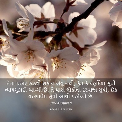 Picture 03 - મીખાહ 1:9 GUJIRV - તેના પ્રહાર રુઝવી - Bible Verse Picture