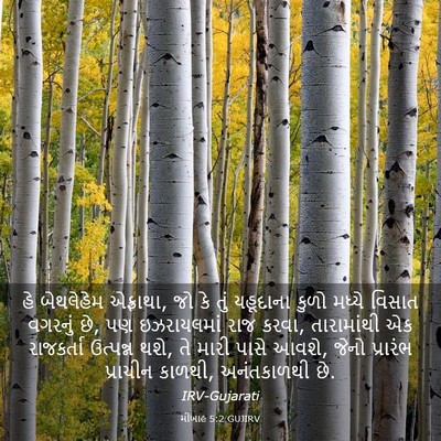 Picture 03 - મીખાહ 5:2 GUJIRV - હે બેથલેહેમ - Bible Verse Picture