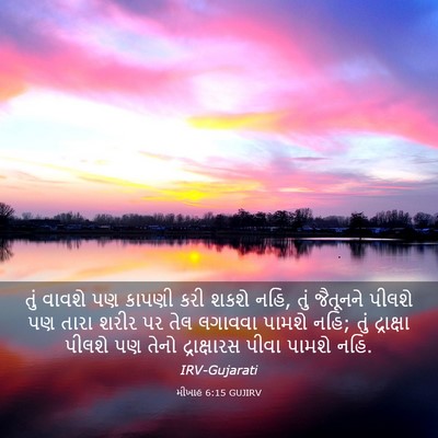 Picture 03 - મીખાહ 6:15 GUJIRV - તું વાવશે પણ કાપણી - Bible Verse Picture
