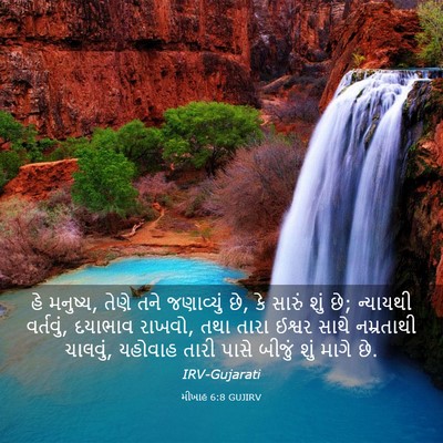 Picture 03 - મીખાહ 6:8 GUJIRV - હે મનુષ્ય, તેણે તને - Bible Verse Picture