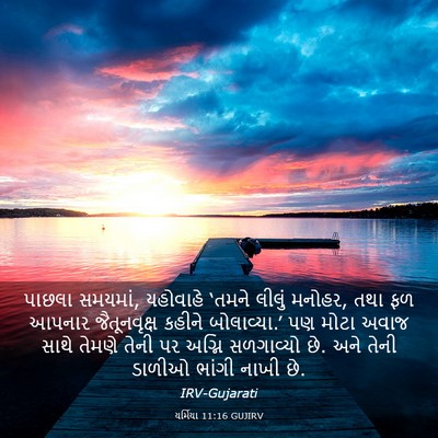 Picture 03 - યર્મિયા 11:16 GUJIRV - પાછલા સમયમાં, - Bible Verse Picture