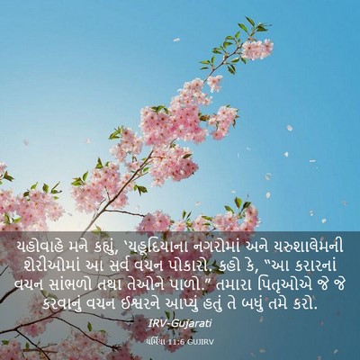 Picture 03 - યર્મિયા 11:6 GUJIRV - યહોવાહે મને - Bible Verse Picture