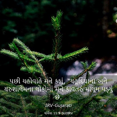 Picture 03 - યર્મિયા 11:9 GUJIRV - પછી યહોવાહે મને - Bible Verse Picture