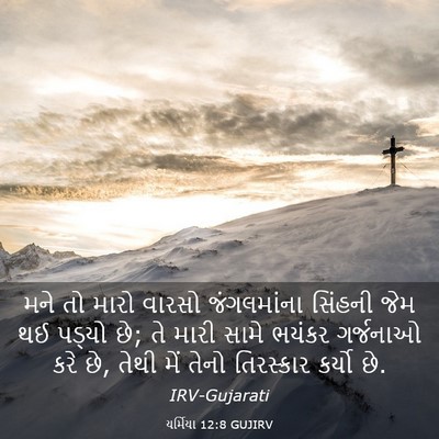 Picture 03 - યર્મિયા 12:8 GUJIRV - મને તો મારો વારસો - Bible Verse Picture