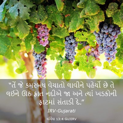 Picture 03 - યર્મિયા 13:4 GUJIRV - “તેં જે કમરબંધ - Bible Verse Picture