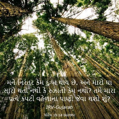 Picture 03 - યર્મિયા 15:18 GUJIRV - મને નિરંતર કેમ - Bible Verse Picture