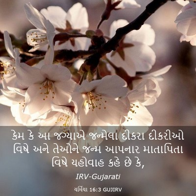 Picture 03 - યર્મિયા 16:3 GUJIRV - કેમ કે આ જગ્યાએ - Bible Verse Picture