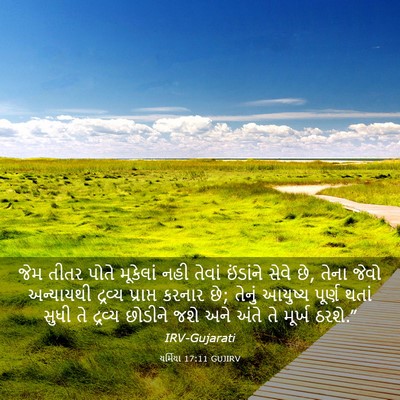 Picture 03 - યર્મિયા 17:11 GUJIRV - જેમ તીતર પોતે - Bible Verse Picture