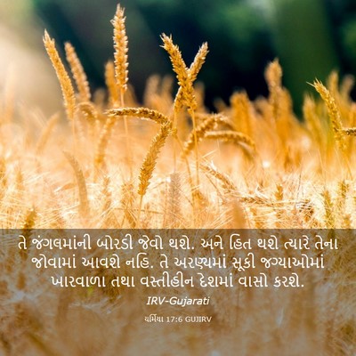 Picture 03 - યર્મિયા 17:6 GUJIRV - તે જંગલમાંની - Bible Verse Picture