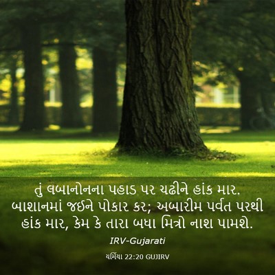 Picture 03 - યર્મિયા 22:20 GUJIRV - તું લબાનોનના પહાડ - Bible Verse Picture