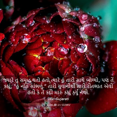 Picture 03 - યર્મિયા 22:21 GUJIRV - જ્યારે તુ સમૃદ્ધ - Bible Verse Picture