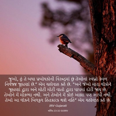 Picture 03 - યર્મિયા 23:32 GUJIRV - જુઓ, હું તે બધા - Bible Verse Picture