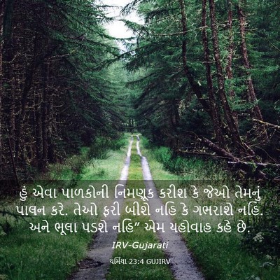Picture 03 - યર્મિયા 23:4 GUJIRV - હું એવા પાળકોની - Bible Verse Picture