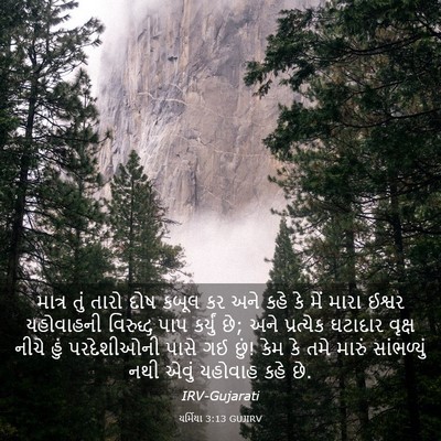 Picture 03 - યર્મિયા 3:13 GUJIRV - માત્ર તું તારો દોષ - Bible Verse Picture