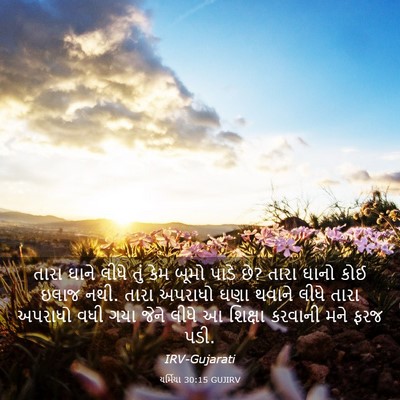 Picture 03 - યર્મિયા 30:15 GUJIRV - તારા ઘાને લીધે તું - Bible Verse Picture