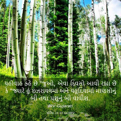 Picture 03 - યર્મિયા 31:27 GUJIRV - યહોવાહ કહે છે “જુઓ, - Bible Verse Picture