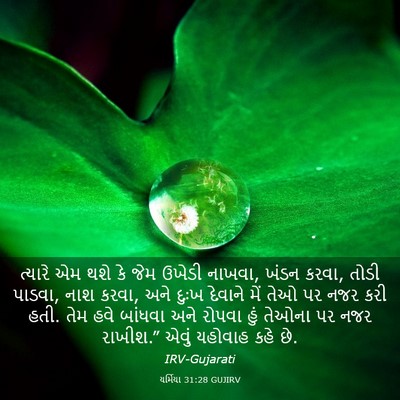 Picture 03 - યર્મિયા 31:28 GUJIRV - ત્યારે એમ થશે કે - Bible Verse Picture