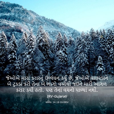 Picture 03 - યર્મિયા 34:18 GUJIRV - જેઓએ મારા કરારનું - Bible Verse Picture