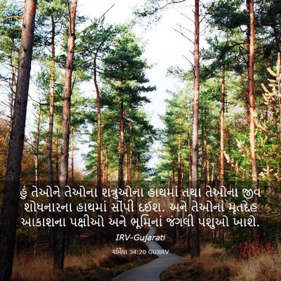 Picture 03 - યર્મિયા 34:20 GUJIRV - હું તેઓને તેઓના - Bible Verse Picture