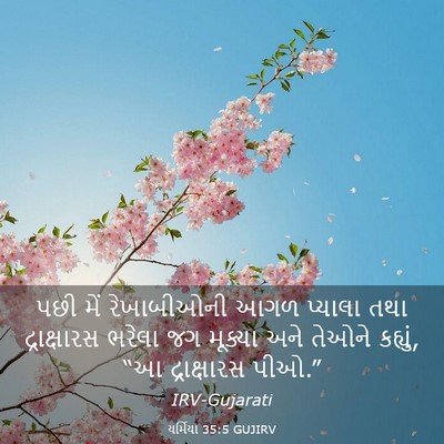 Picture 03 - યર્મિયા 35:5 GUJIRV - પછી મેં રેખાબીઓની - Bible Verse Picture