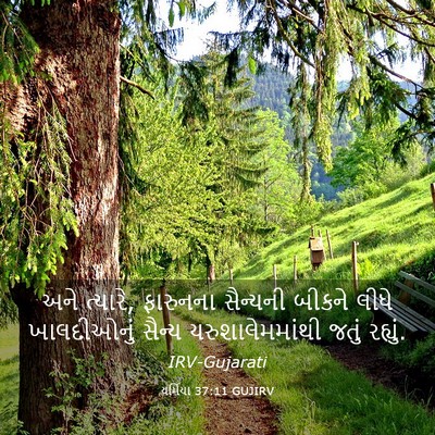 Picture 03 - યર્મિયા 37:11 GUJIRV - અને ત્યારે, - Bible Verse Picture