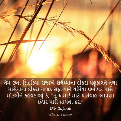 Picture 03 - યર્મિયા 37:3 GUJIRV - તેમ છતાં સિદકિયા - Bible Verse Picture