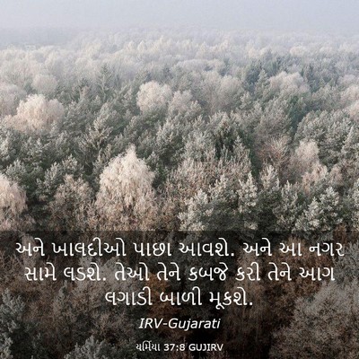 Picture 03 - યર્મિયા 37:8 GUJIRV - અને ખાલદીઓ પાછા - Bible Verse Picture