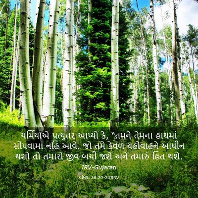 Picture 03 - યર્મિયા 38:20 GUJIRV - યર્મિયાએ - Bible Verse Picture