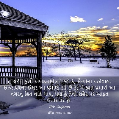 Picture 03 - યર્મિયા 39:16 GUJIRV - તું જઈને કૂશી - Bible Verse Picture