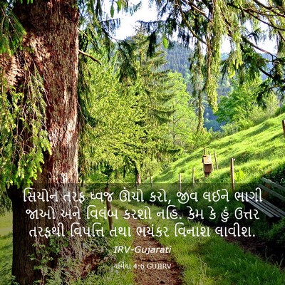Picture 03 - યર્મિયા 4:6 GUJIRV - સિયોન તરફ ધ્વજ - Bible Verse Picture
