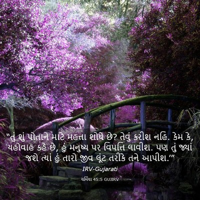 Picture 03 - યર્મિયા 45:5 GUJIRV - “તું શું પોતાને - Bible Verse Picture