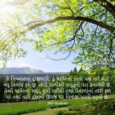 Picture 03 - યર્મિયા 48:32 GUJIRV - હે સિબ્માહના - Bible Verse Picture
