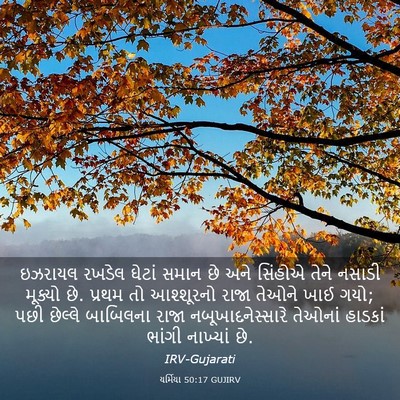 Picture 03 - યર્મિયા 50:17 GUJIRV - ઇઝરાયલ રખડેલ - Bible Verse Picture