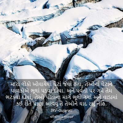 Picture 03 - યર્મિયા 50:6 GUJIRV - મારા લોકો - Bible Verse Picture