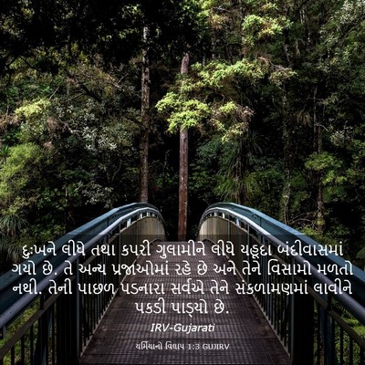 Picture 03 - યર્મિયાનો વિલાપ 1:3 GUJIRV - દુઃખને લીધે તથા - Bible Verse Picture