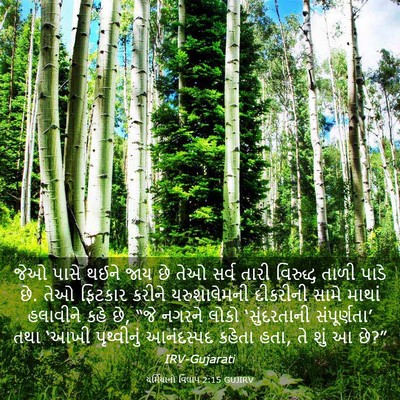 Picture 03 - યર્મિયાનો વિલાપ 2:15 GUJIRV - જેઓ પાસે થઈને જાય - Bible Verse Picture