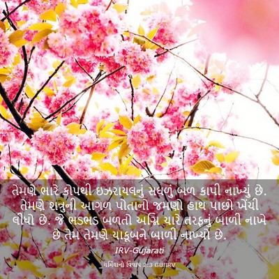 Picture 03 - યર્મિયાનો વિલાપ 2:3 GUJIRV - તેમણે ભારે કોપથી - Bible Verse Picture