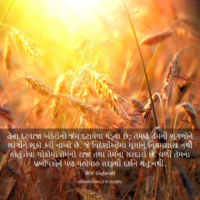 Picture 03 - યર્મિયાનો વિલાપ 2:9 GUJIRV - તેના દરવાજા - Bible Verse Picture