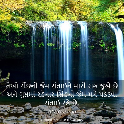 Picture 03 - યર્મિયાનો વિલાપ 3:10 GUJIRV - તેઓ રીંછની જેમ - Bible Verse Picture
